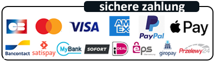 secure payment with paypal visa amex mastercard